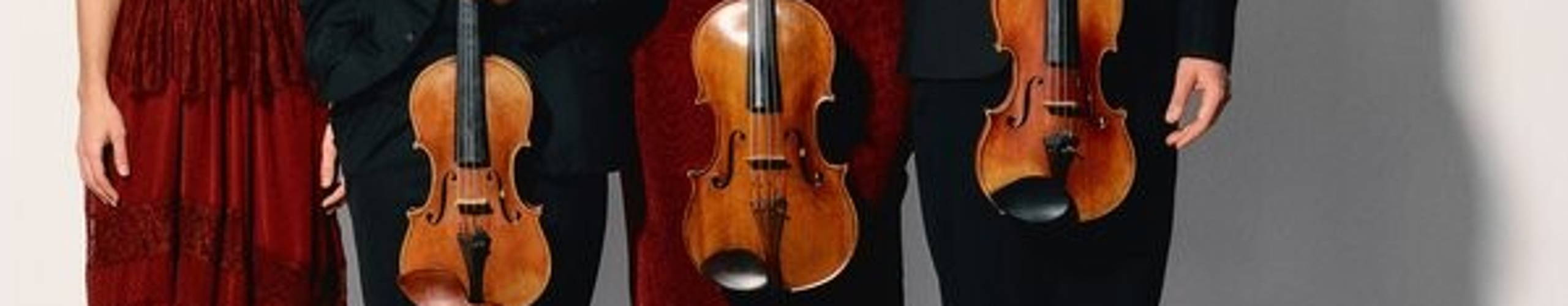 Strijkkwartet Series