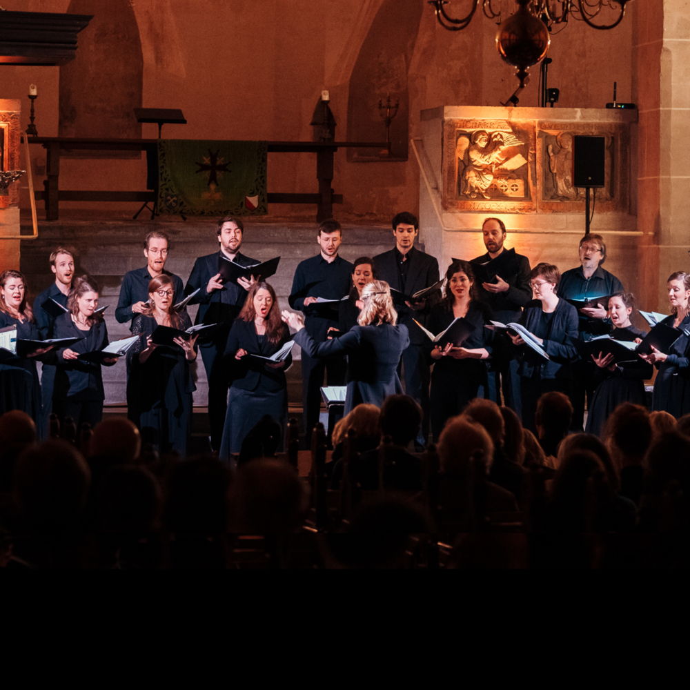 Het VU kamerkoor