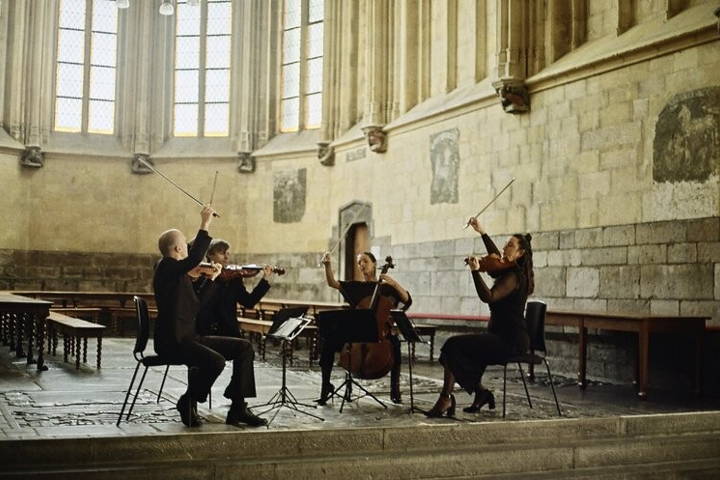 Strijkkwartet Series
